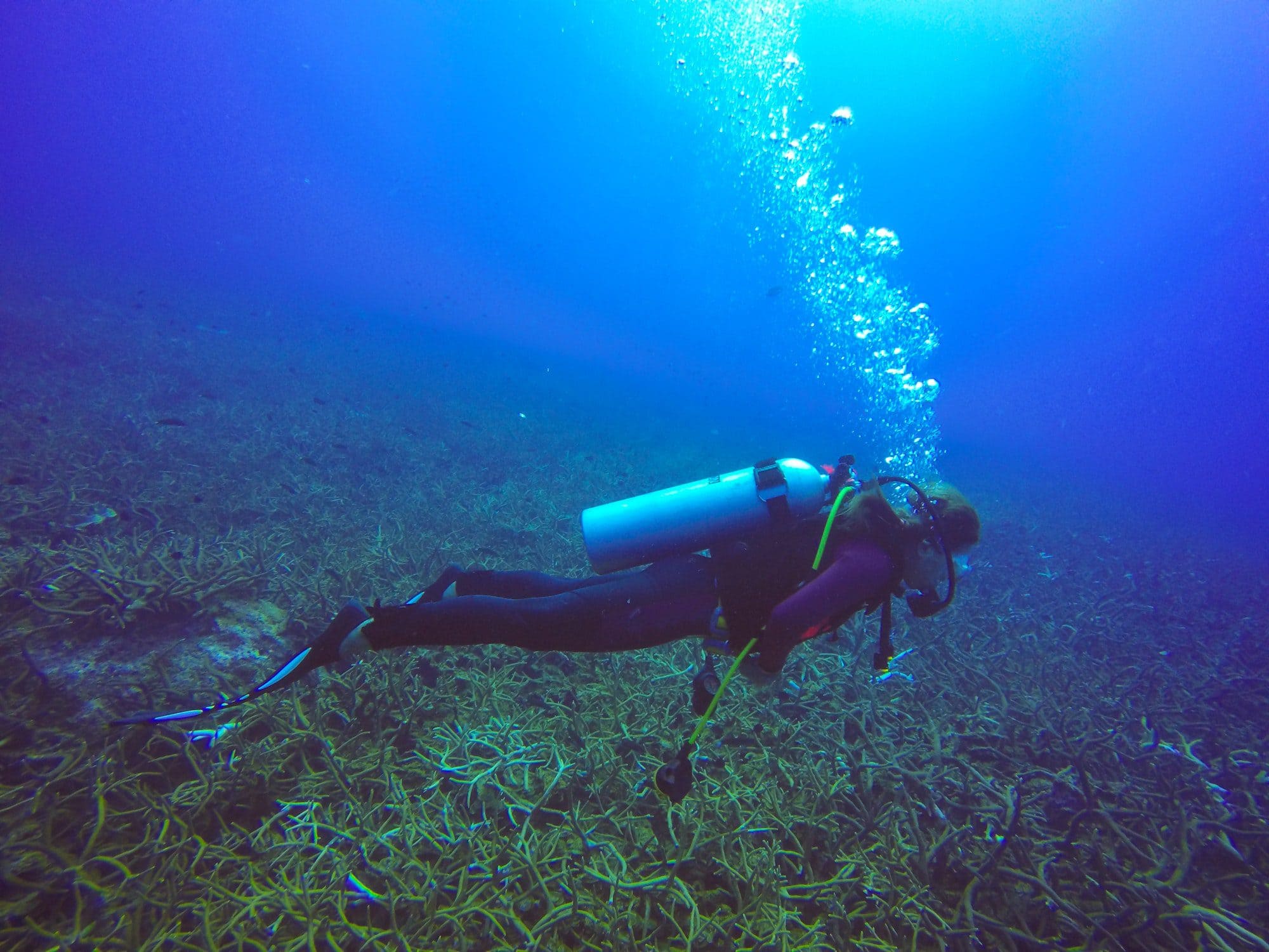 Diving in Crete Island with safety